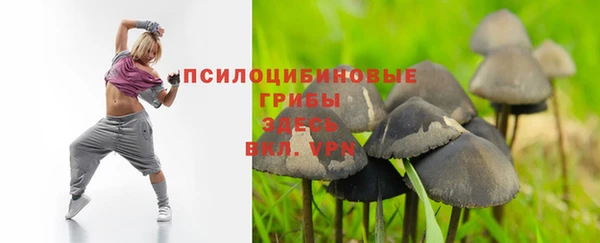 apvp Верея