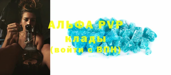 apvp Верея