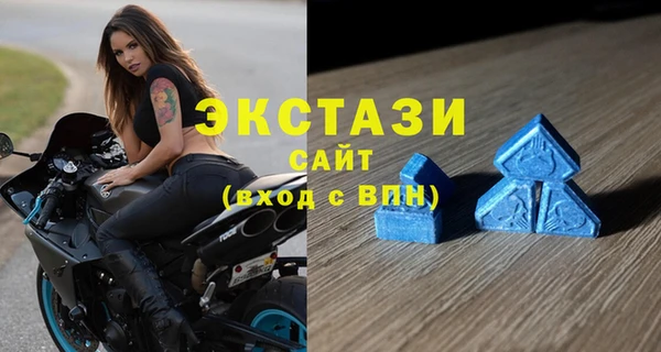 индика Снежинск