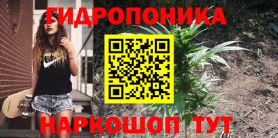 мдпв Севастополь