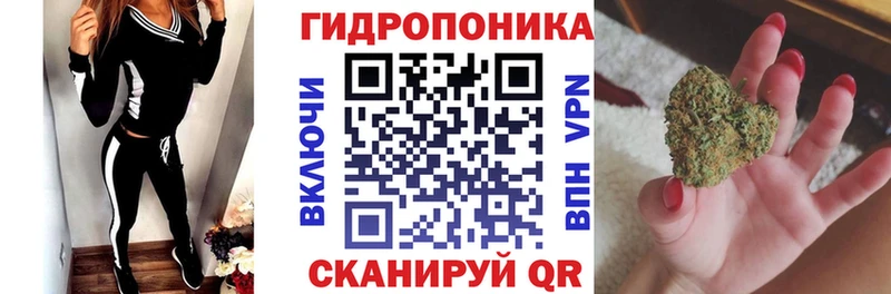 продажа наркотиков  Свободный  Каннабис MAZAR 